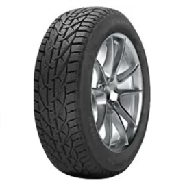 Riken 215/65R17 215/65R17C 112/110H Cargo Speed Evo