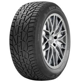 Riken 225/55R17 225/55R17C 109/107H Cargo Speed Evo