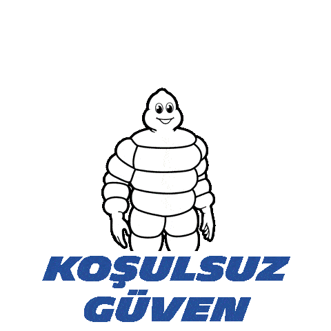 Michelin Alpin 7 Kış Lastiği