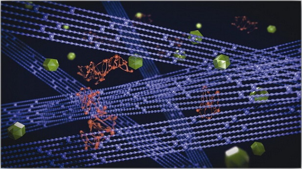 Michelin Pilot Sport 3 Yol Tutuşu