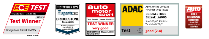 Bridgestone Blizzak LM005 Kış Lastiği