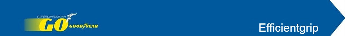 Goodyear Efficientgrip